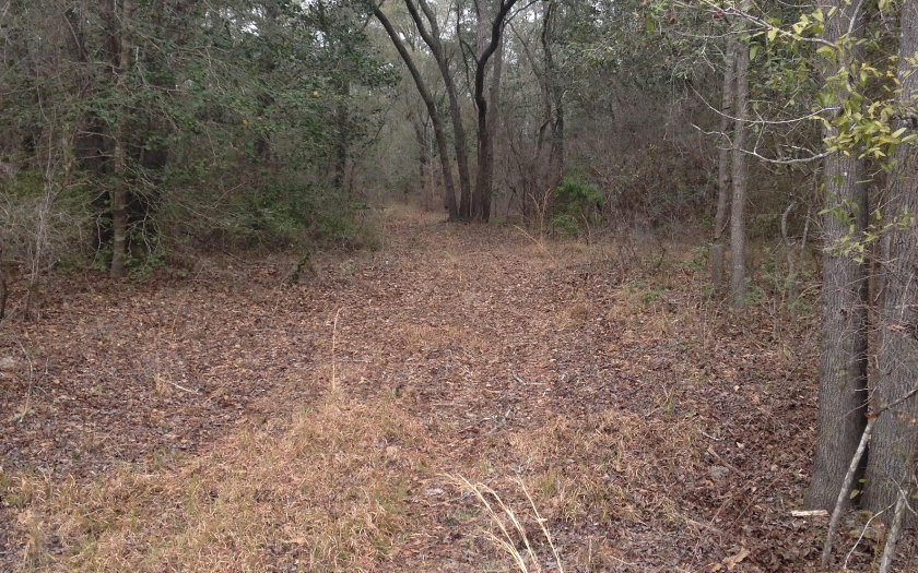 TBD NW 36TH TERRACE, Jennings, FL 32053