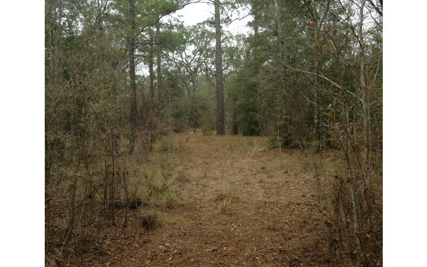 TBD NW 36TH TERRACE, Jennings, FL 32053