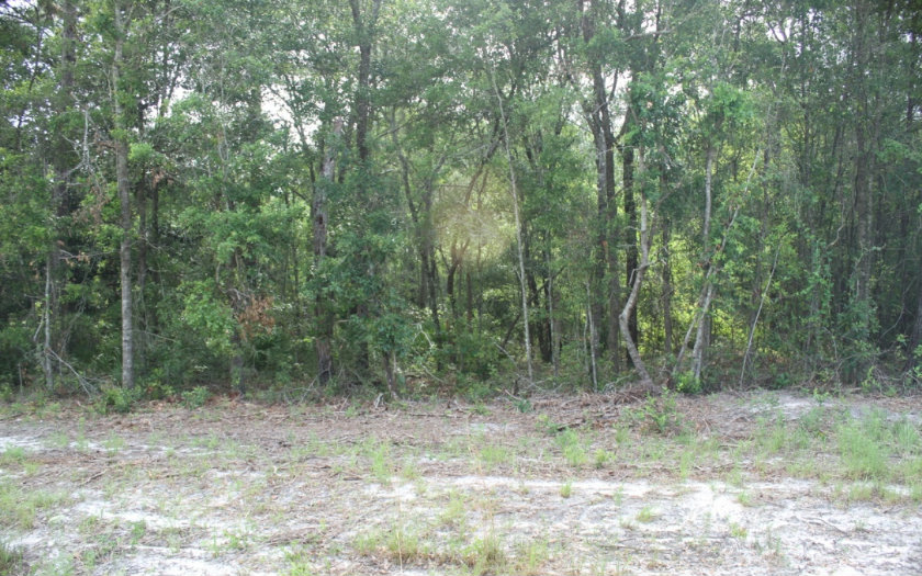 NW 58TH AVENUE, Jennings, FL 32053