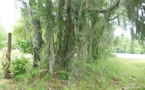 TBD NW CR 141, Jennings, FL 32053