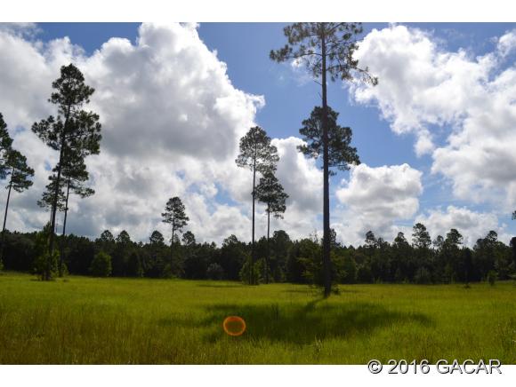 0 Southeast 2nd Road, Lake Butler, FL 32054