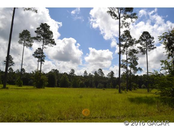 0 Southeast 2nd Road, Lake Butler, FL 32054