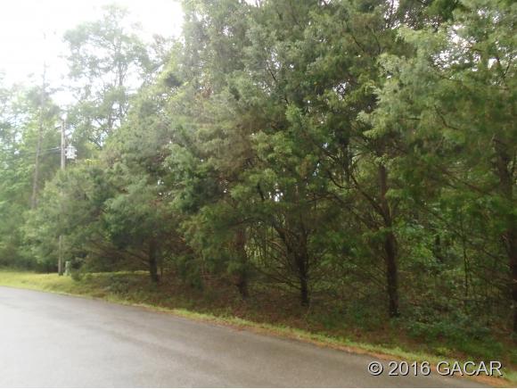 0 Southwest 99th Avenue, Lake Butler, FL 32054