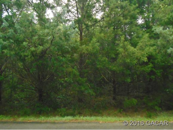 0 Southwest 99th Avenue, Lake Butler, FL 32054