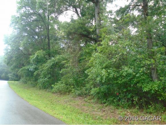 0 Southwest 99th Avenue, Lake Butler, FL 32054