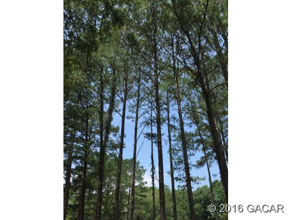 5475 Southwest County Road 791, Lake Butler, FL 32054