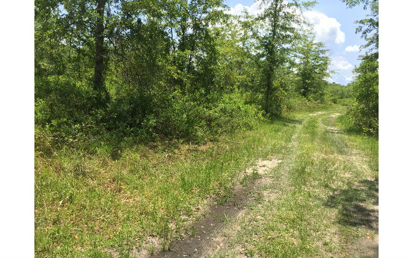 SW CR 239, Lake Butler, FL 32054