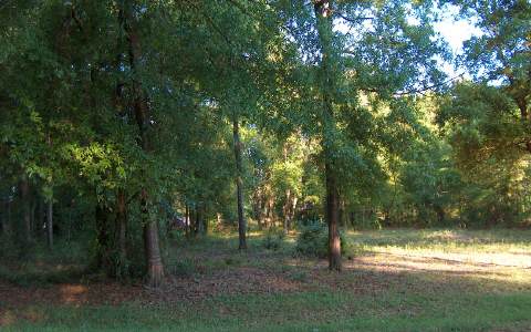 939 NW SCENIC LAKE DRIVE, Lake City, FL 32055