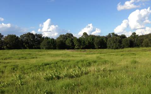 TBD NW LEVI GLEN, Lake City, FL 32055