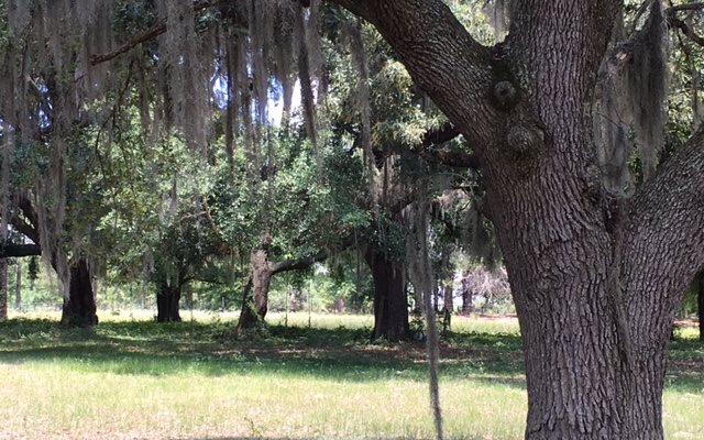 ROLLING OAKS, Lake City, FL 32055