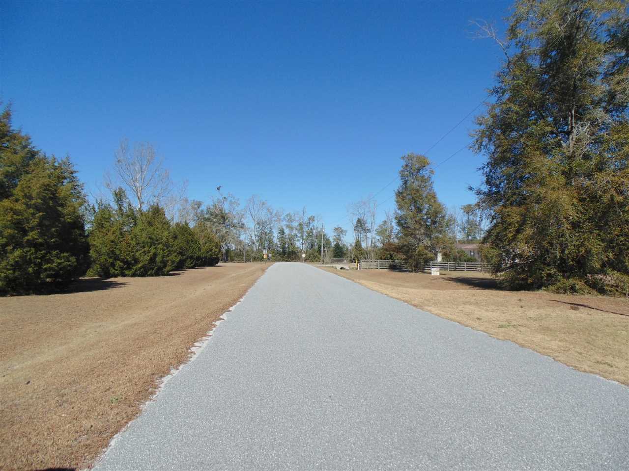 356 NE Golden Rain Terrace, Lee, FL 32059