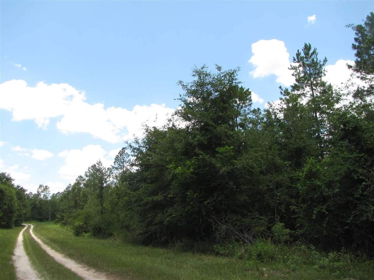 Vacant NE Lavender, Lee, FL 32059