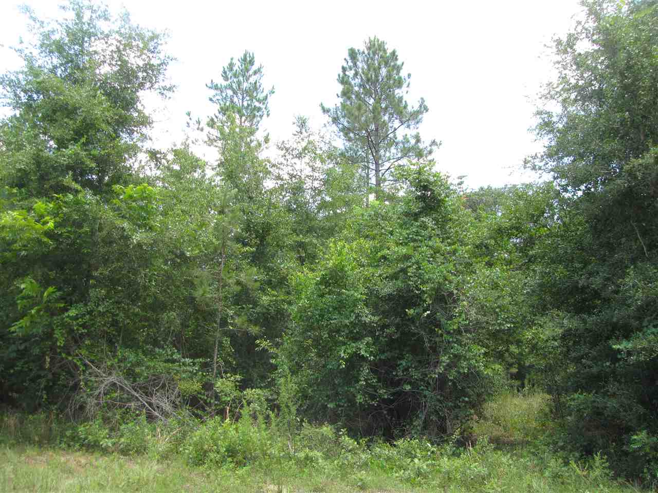 Vacant NE Lavender, Lee, FL 32059