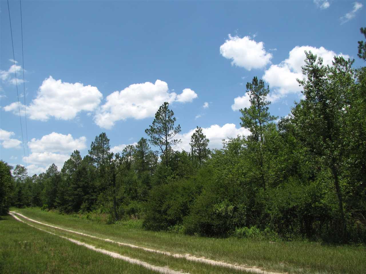 Vacant NE Lavender, Lee, FL 32059