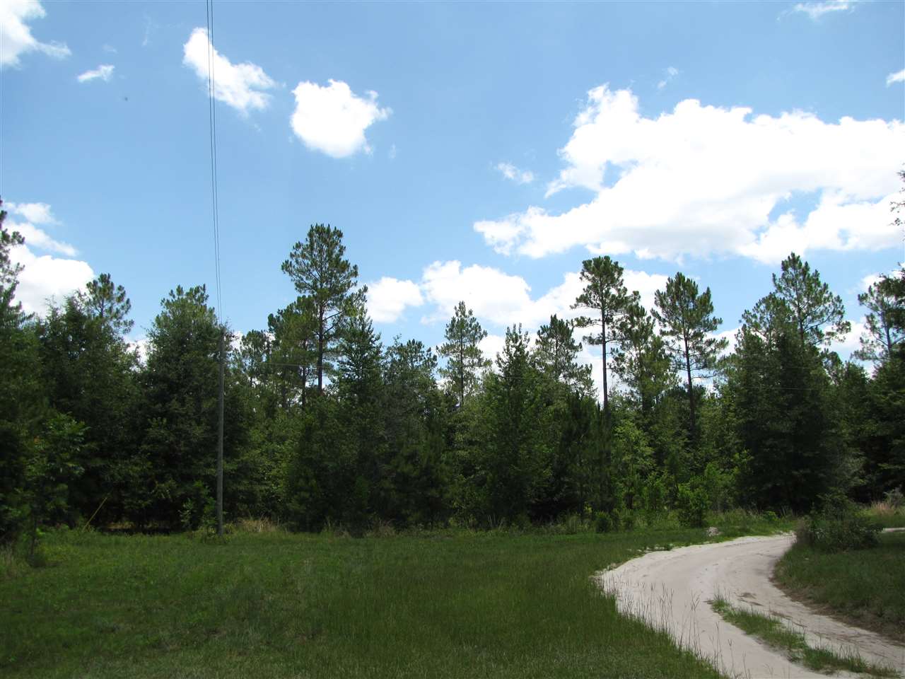 Vacant NE Lavender, Lee, FL 32059