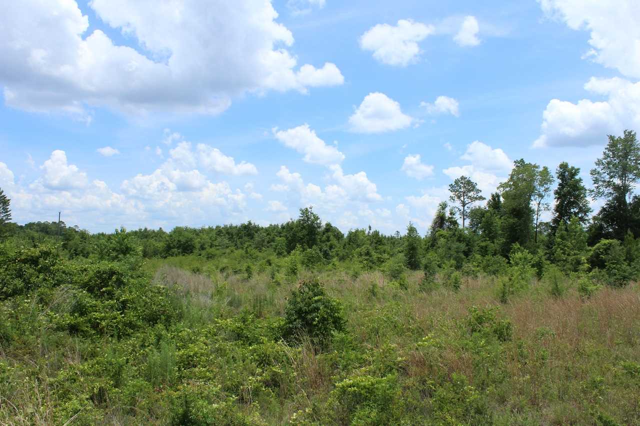 *9234 SE River, Lee, FL 32059