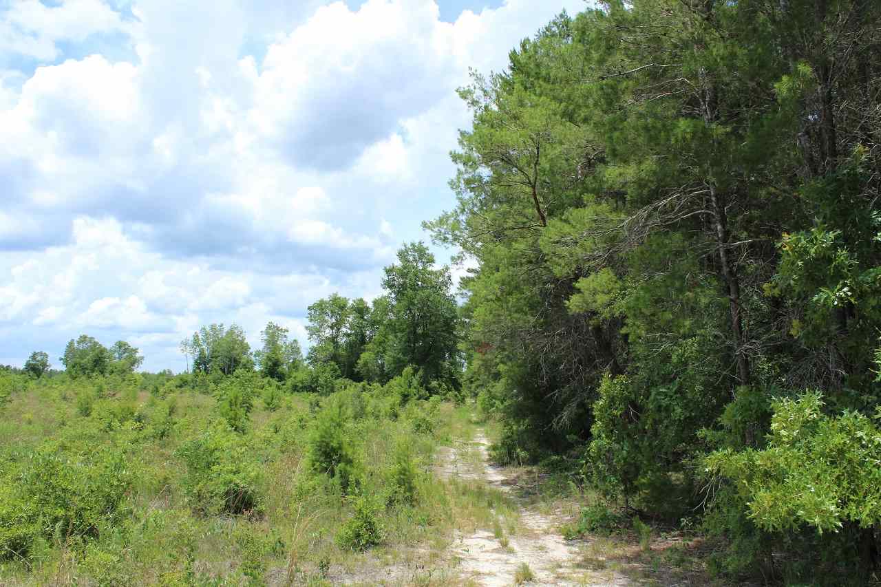 *9234 SE River, Lee, FL 32059
