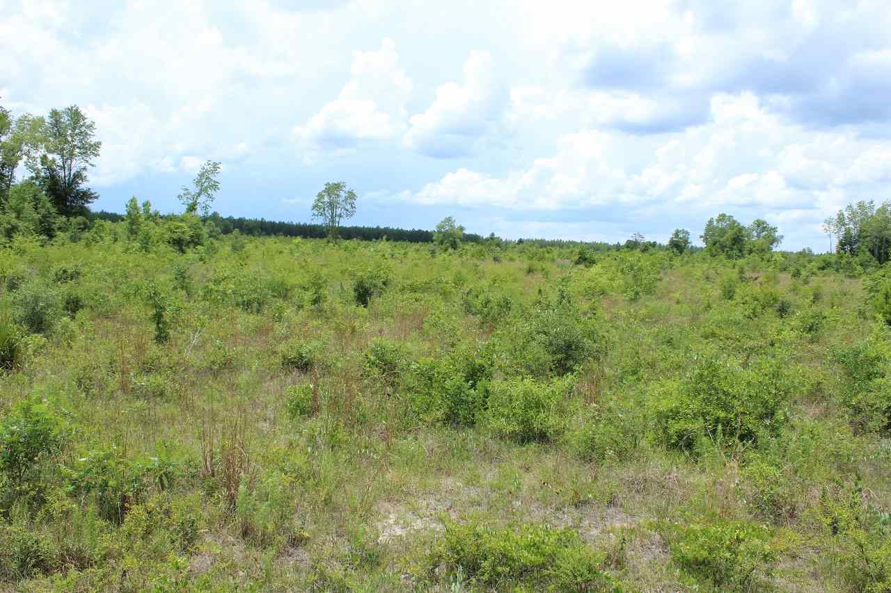 *9234 SE River, Lee, FL 32059