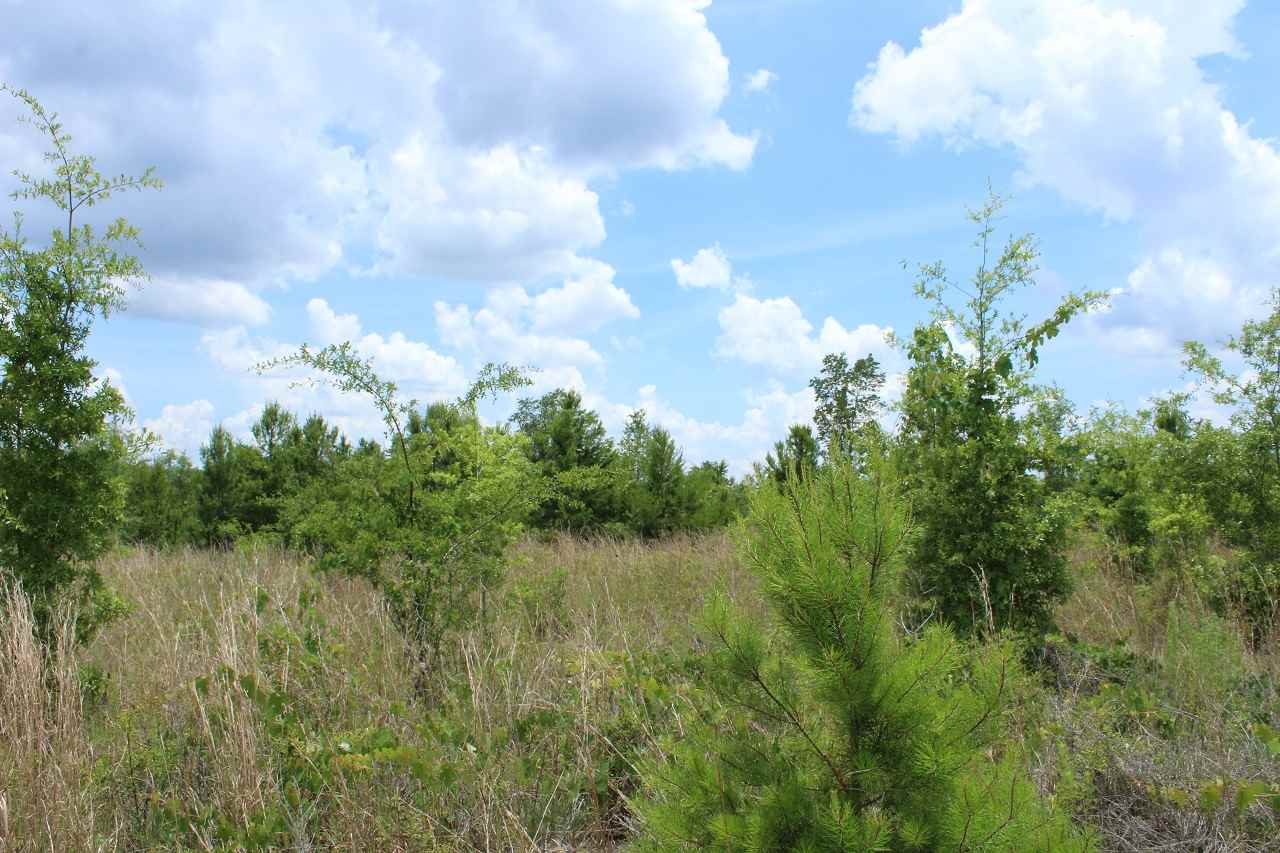 *9234 SE River, Lee, FL 32059