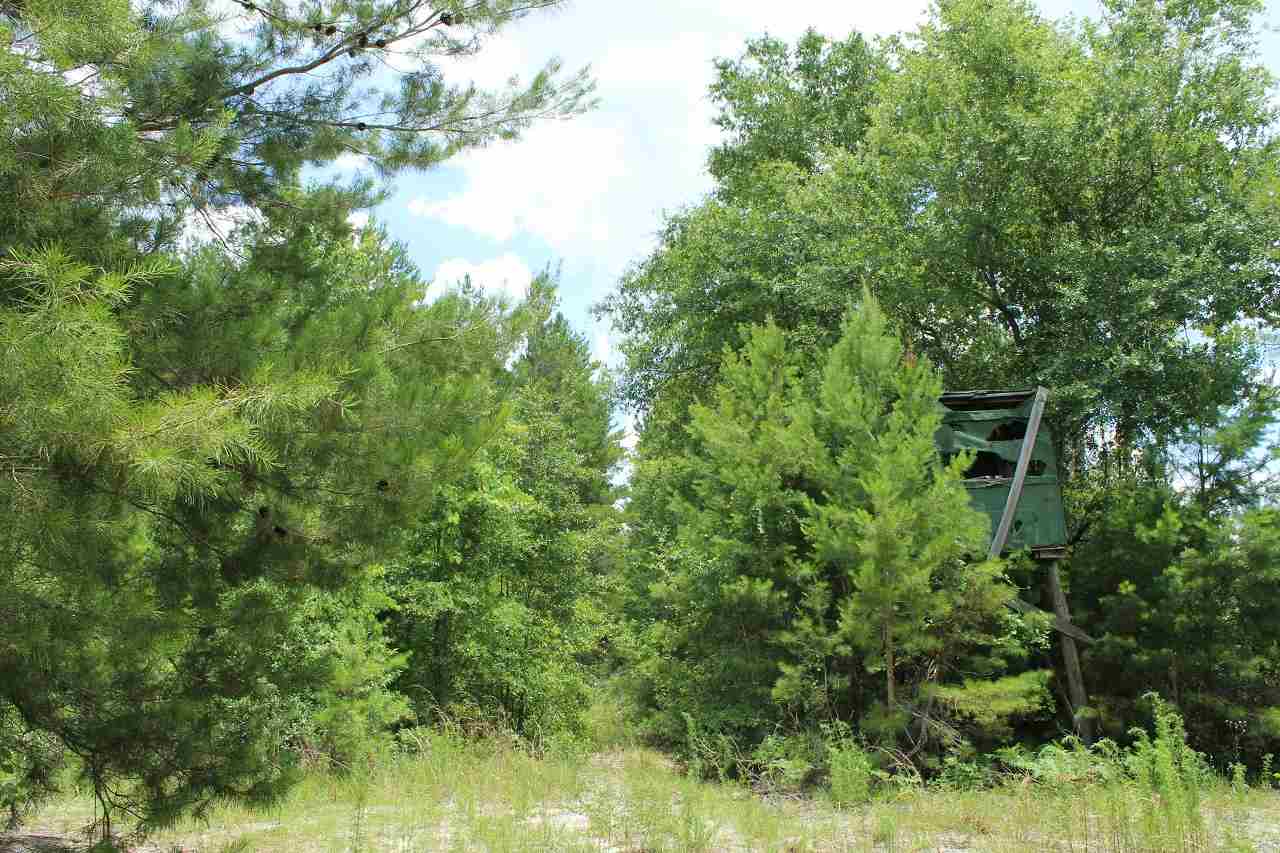 *9234 SE River, Lee, FL 32059