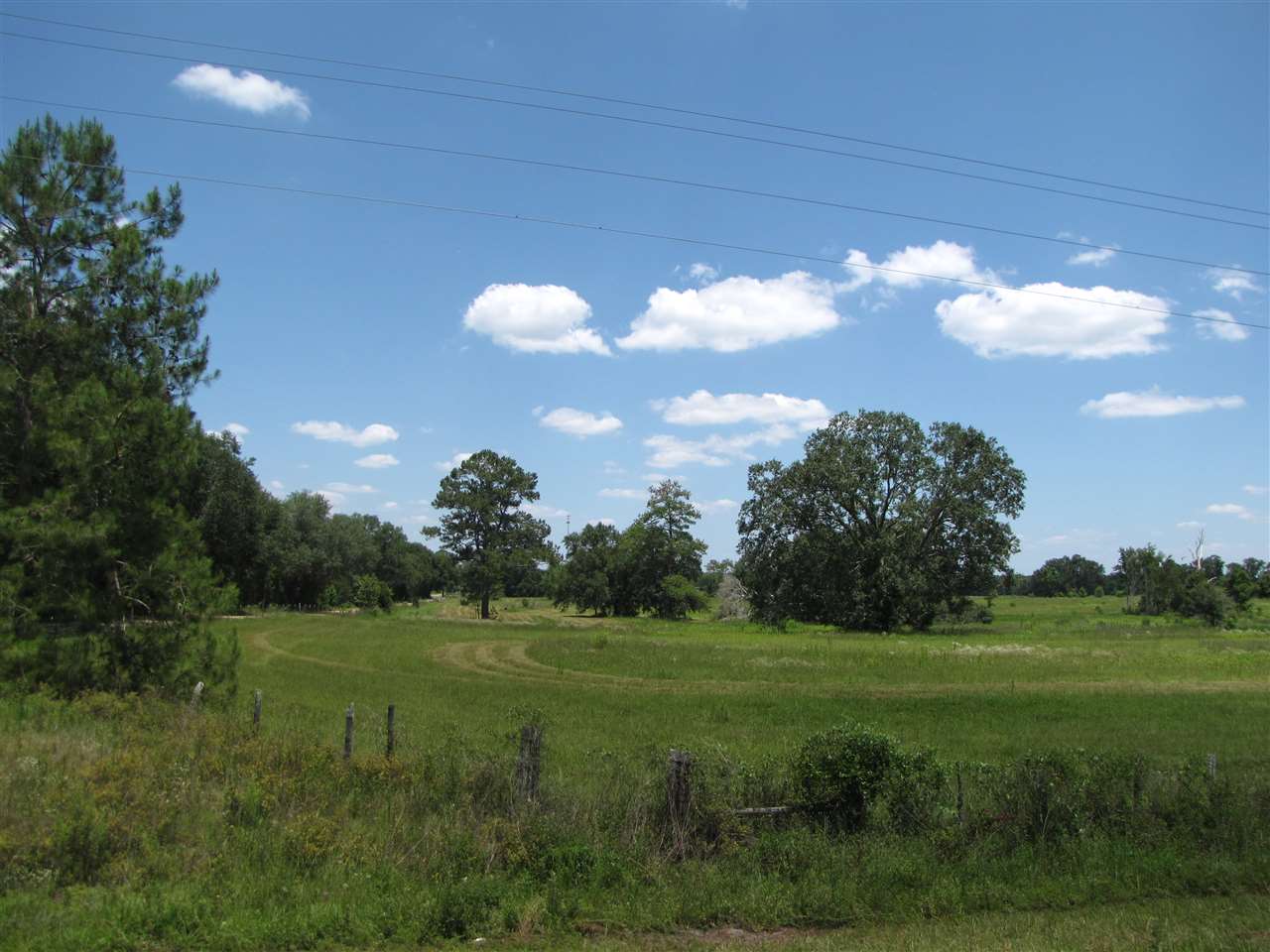 TBD SE Indian Head, Lee, FL 32059