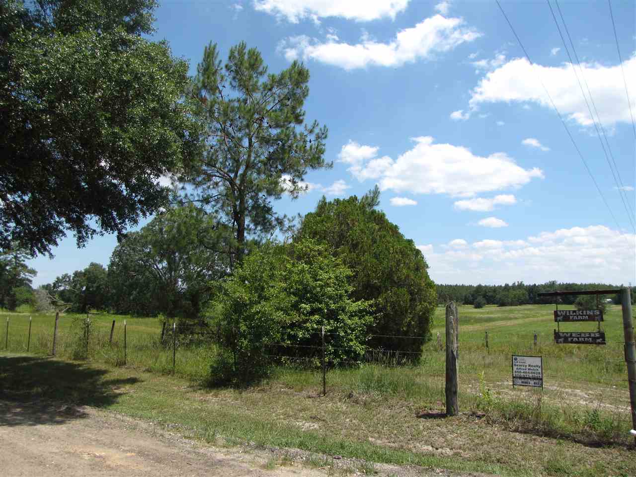 TBD SE Indian Head, Lee, FL 32059