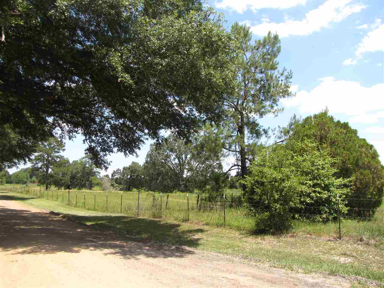TBD SE Indian Head, Lee, FL 32059