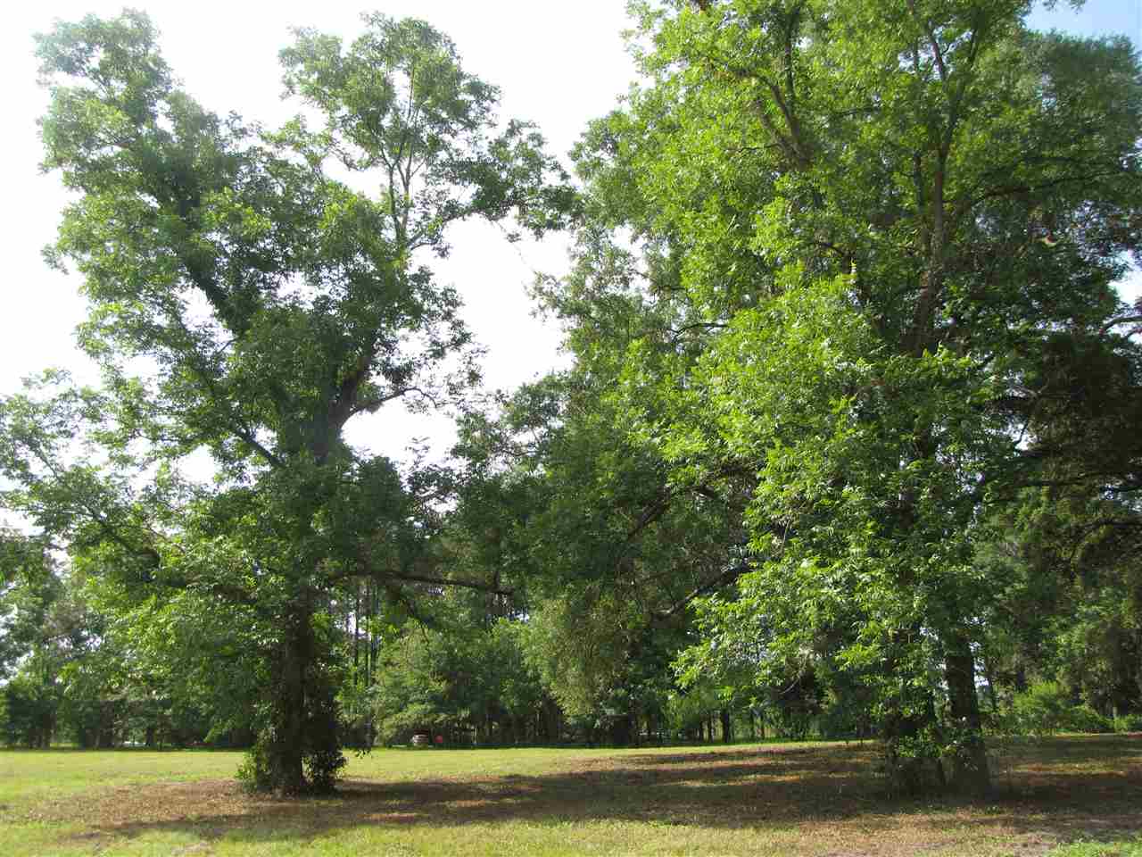 6790 E US Hwy 90, Lee, FL 32059