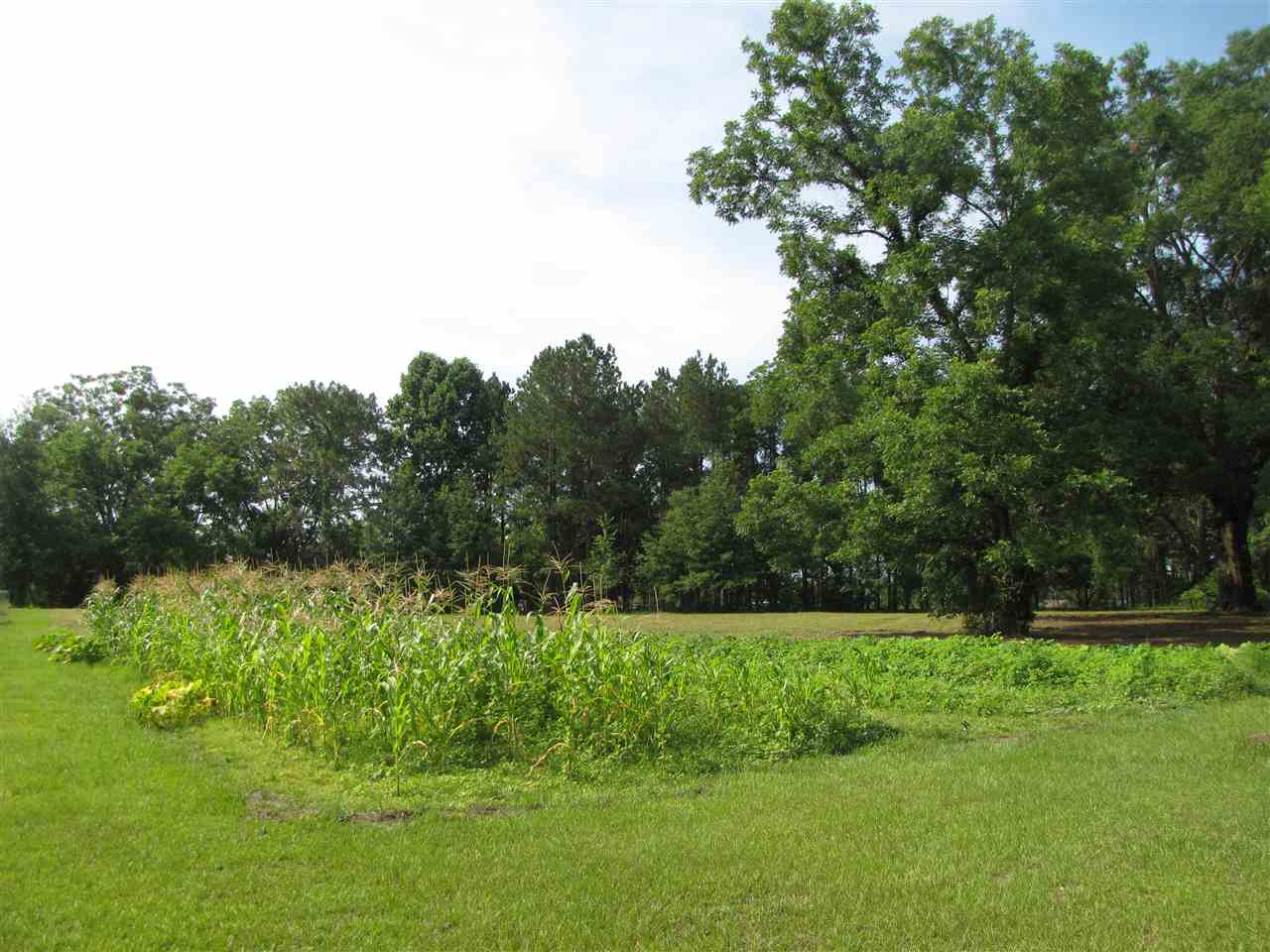 6790 E US Hwy 90, Lee, FL 32059
