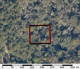 Vacant 14th, Live Oak, FL 32060