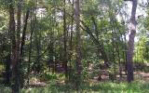 TBD 10TH TERRACE, Live Oak, FL 32060