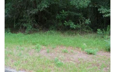 TBD 86TH TERRACE, Live Oak, FL 32060