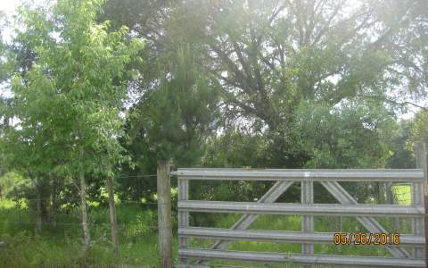 160TH TERRACE, McAlpin, FL 32060