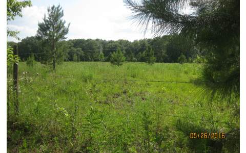 160TH TERRACE, McAlpin, FL 32060