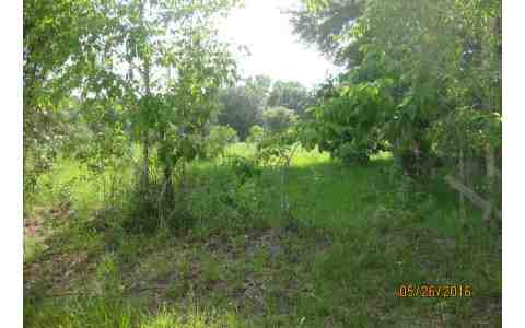 160TH TERRACE, McAlpin, FL 32060
