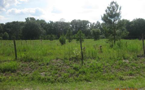 160TH TERRACE, McAlpin, FL 32060