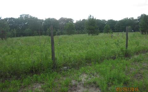 160TH TERRACE, McAlpin, FL 32060