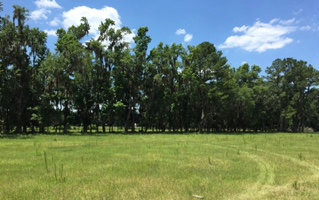 TBD TBD OFF 136A, Live Oak, FL 32060