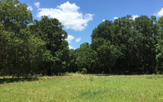 TBD TBD OFF 136A, Live Oak, FL 32060