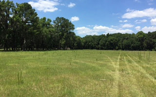 TBD TBD OFF 136A, Live Oak, FL 32060