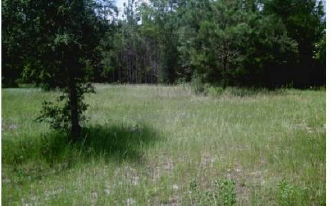 94TH TRAIL, Live Oak, FL 32060