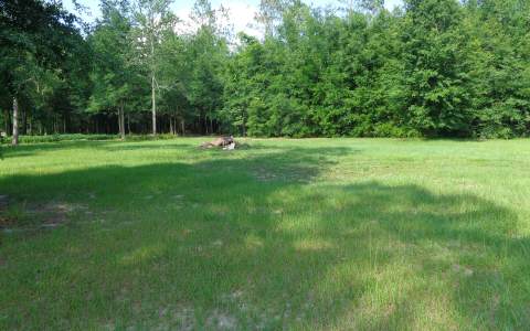 13460 225TH RD., Live Oak, FL 32060