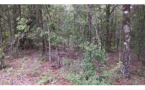 235TH ROAD, Live Oak, FL 32060