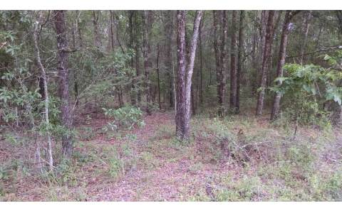 235TH ROAD, Live Oak, FL 32060