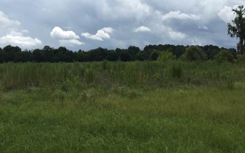 TBD 59TH COURT, Live Oak, FL 32062