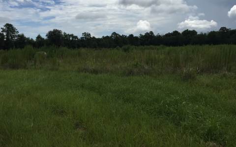 TBD 59TH COURT, Live Oak, FL 32062