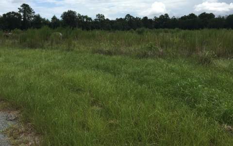 TBD 59TH COURT, Live Oak, FL 32062