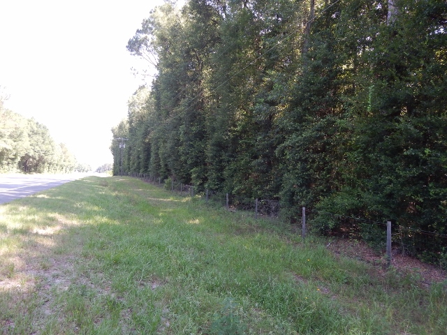 US Hwy 129 &amp; 180th Street, McAlpin, FL 32062