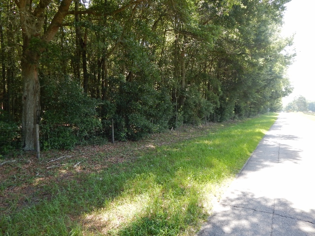 US Hwy 129 & 180th Street, McAlpin, FL 32062