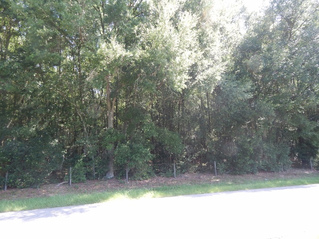 US Hwy 129 & 180th Street, McAlpin, FL 32062